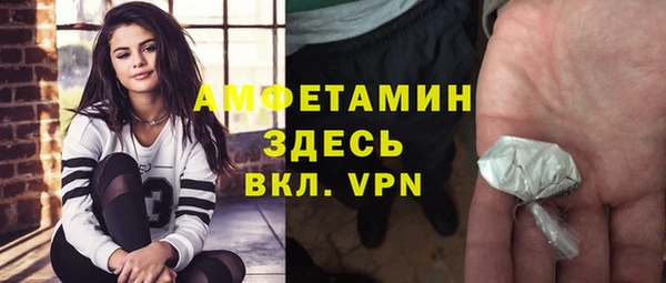 гидра Горно-Алтайск