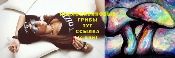 ГАЛЛЮЦИНОГЕННЫЕ ГРИБЫ Горняк
