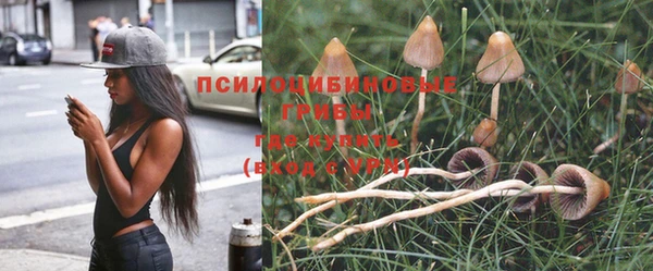 марихуана Горнозаводск