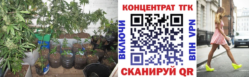 ТГК Wax  mega ссылка  Калуга 