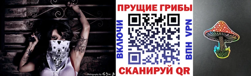 мега онион  Калуга  Галлюциногенные грибы GOLDEN TEACHER 